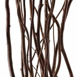 Brand new 🤩 Natural Curly Willow by Ashland® ✨ -Ashland Online Store 10017457 20