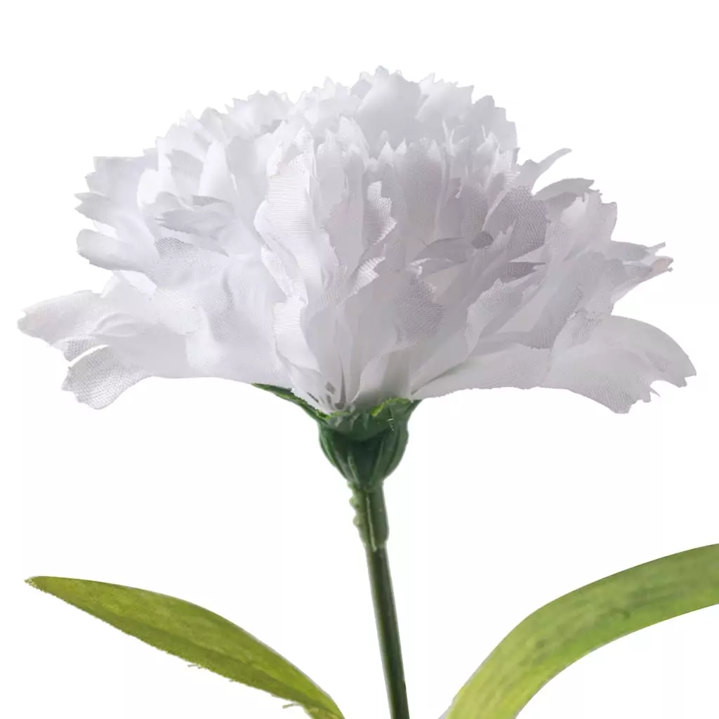 Cheap ๐ White Carnation Spray by Ashland® ๐ 5 Cheap ๐ White Carnation Spray by Ashland® ๐ - Image 3