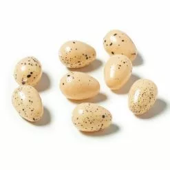 Wholesale 🤩 Nature Center Speckled Tan Eggs by Ashland® 👏