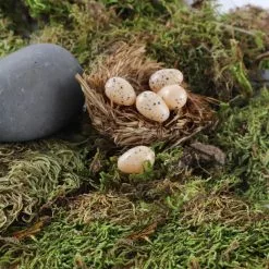 Wholesale 🤩 Nature Center Speckled Tan Eggs by Ashland® 👏 -Ashland Online Store 10029911 4