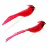 New ⭐ 24 Packs: 2 ct. (48 total) Cardinal Birds by Ashland® ⭐ -Ashland Online Store 10029954