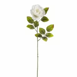 Cheap ✔️ Holland Rose Spray by Ashland® 😉