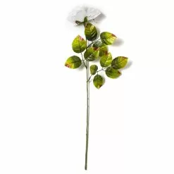 Cheap ✔️ Holland Rose Spray by Ashland® 😉 -Ashland Online Store 10056110 21