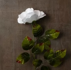 Cheap ✔️ Holland Rose Spray by Ashland® 😉 -Ashland Online Store 10056110 25