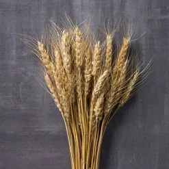Buy 🔔 Ashland® Natural Wheat Bunch ⌛ -Ashland Online Store 10065705 22