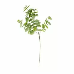 Hot Sale 🌟 Eucalyptus Branch by Ashland® 💯 -Ashland Online Store 10067587 30