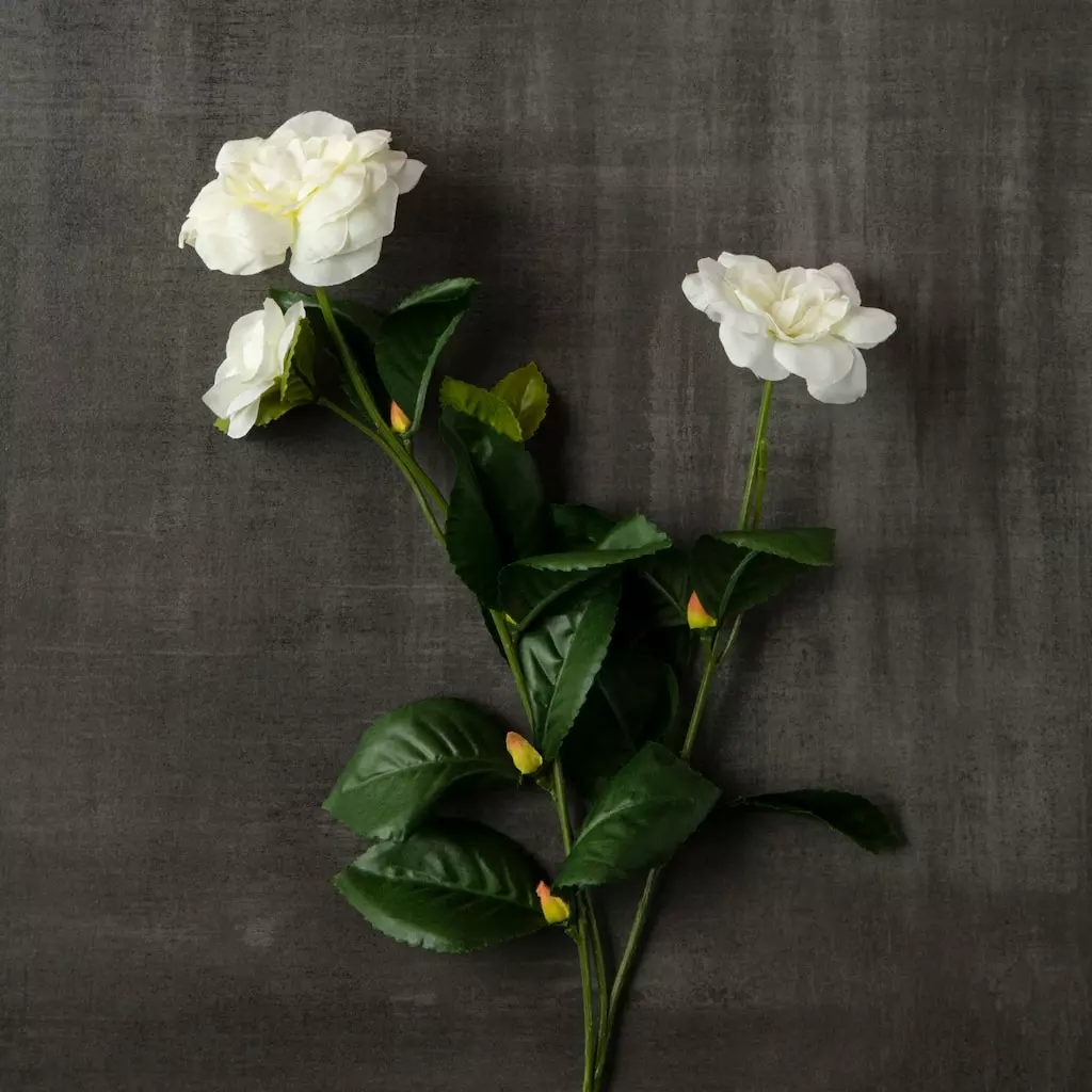 Buy โจ Gardenia Spray by Ashland® ๐ 5 Buy โจ Gardenia Spray by Ashland® ๐ - Image 3