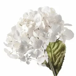 Brand new ✨ Pearl Hydrangea Stem by Ashland® ✨ 9 Brand new ✨ Pearl Hydrangea Stem by Ashland® ✨ -Ashland Online Store 10110873 20