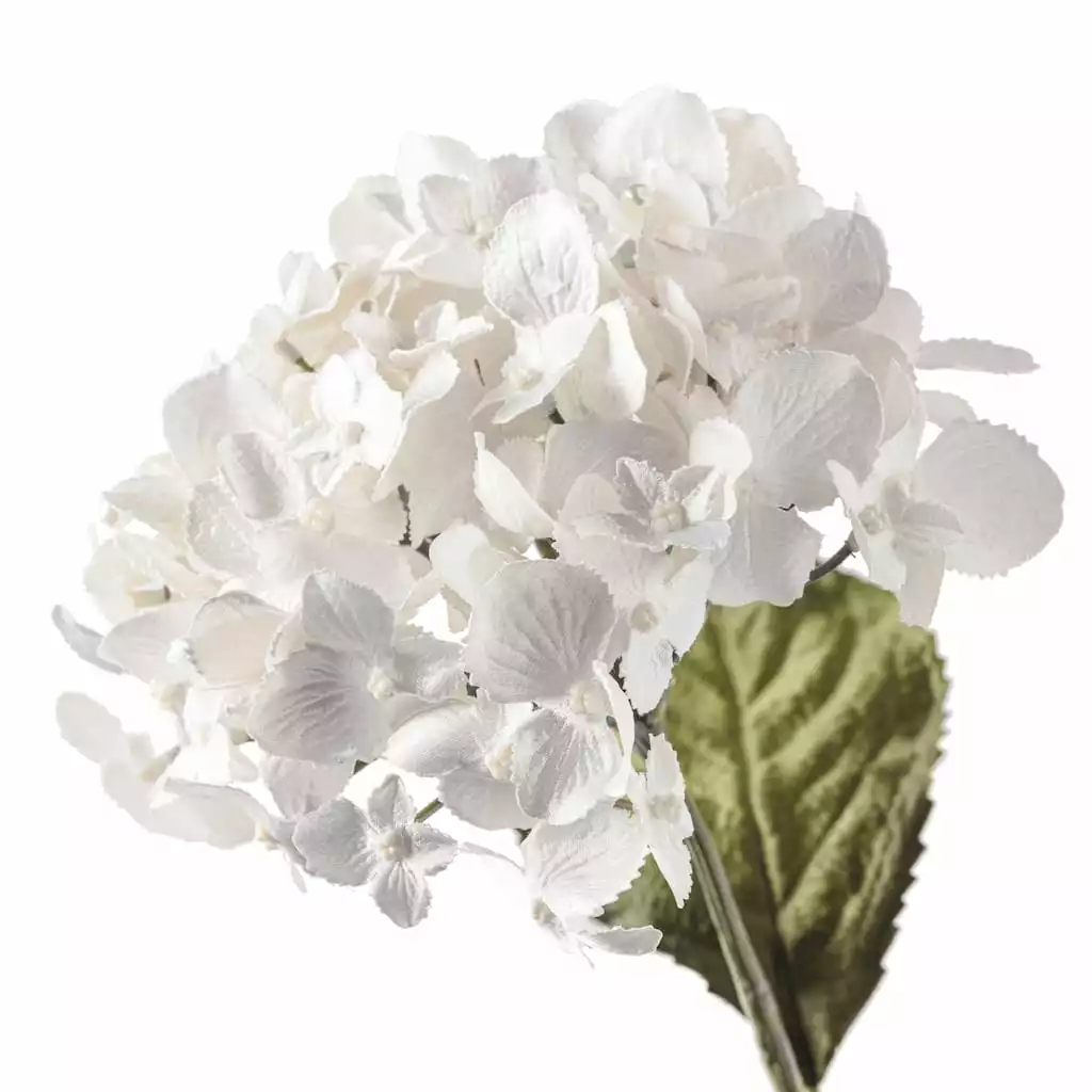 Brand new ✨ Pearl Hydrangea Stem by Ashland® ✨ 6 Brand new ✨ Pearl Hydrangea Stem by Ashland® ✨ - Image 4
