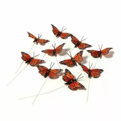 Best Pirce 🎁 Assorted 7.8" Monarch Butterfly Pack by Ashland® 😀
