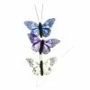 Budget 🤩 Mini Butterflies by Ashland® 🛒
