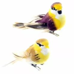 Cheap 😍 Mushroom Birds by Ashland™ ❤️