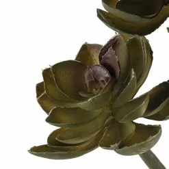 Hot Sale ⭐ Ashland® Succulent Pick 🛒 -Ashland Online Store 10128870 20