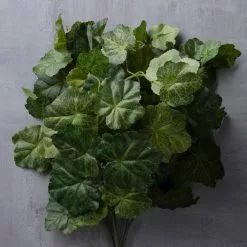 Outlet 🎁 Coral Bell Bush by Ashland® 🎉 -Ashland Online Store 10129104 25