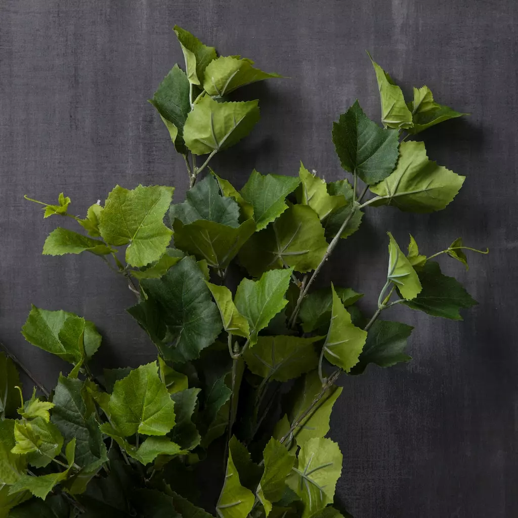 Promo ✔️ Green Hanging Grape Leaf Bush by Ashland® 🥰 4 Promo ✔️ Green Hanging Grape Leaf Bush by Ashland® 🥰 - Image 2