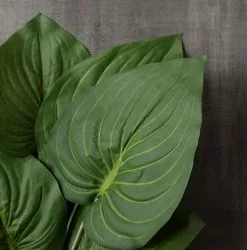 Outlet 🎉 Hosta Bush Real Touch Collection by Ashland® 🤩 -Ashland Online Store 10131106 25