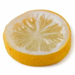 Best Sale ✨ Assorted Fruit Slice Décor Accent by Ashland® ⭐ -Ashland Online Store 10131162 21