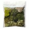 Discount 🥰 Moss Variety Pack by Ashland® 🔥 -Ashland Online Store 10135036 20