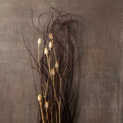 Coupon ๐ Dried Lagurus Floral Bouquet by Ashland® โ 7 Coupon ๐ Dried Lagurus Floral Bouquet by Ashland® โ -Ashland Online Store 10153486 25