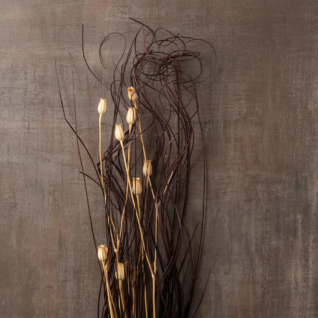 Coupon ๐ Dried Lagurus Floral Bouquet by Ashland® โ 5 Coupon ๐ Dried Lagurus Floral Bouquet by Ashland® โ - Image 3