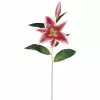 Best deal 💯 12 Pack: Rubrum Lily Spray by Ashland® ✔️