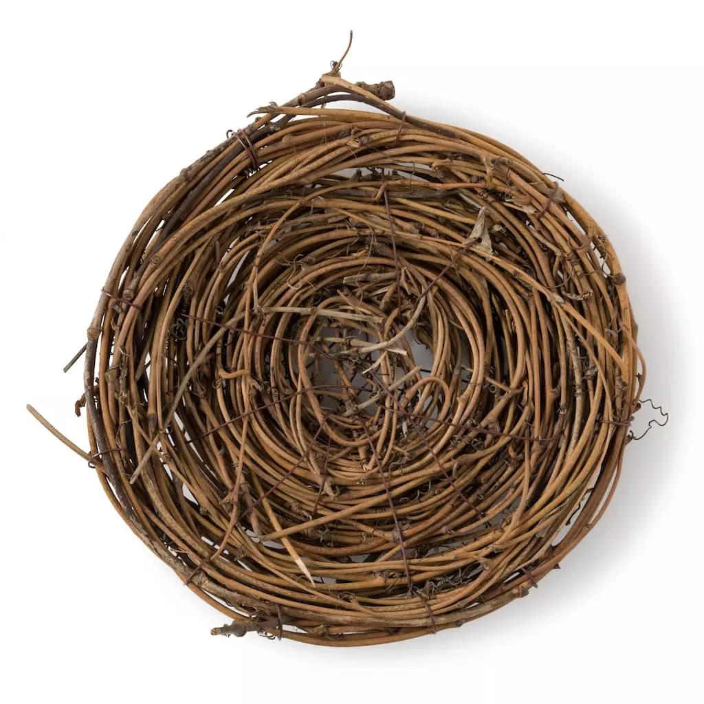 Top 10 โ 8" Bird Nest by Ashland® ๐ 4 Top 10 โ 8" Bird Nest by Ashland® ๐ - Image 2