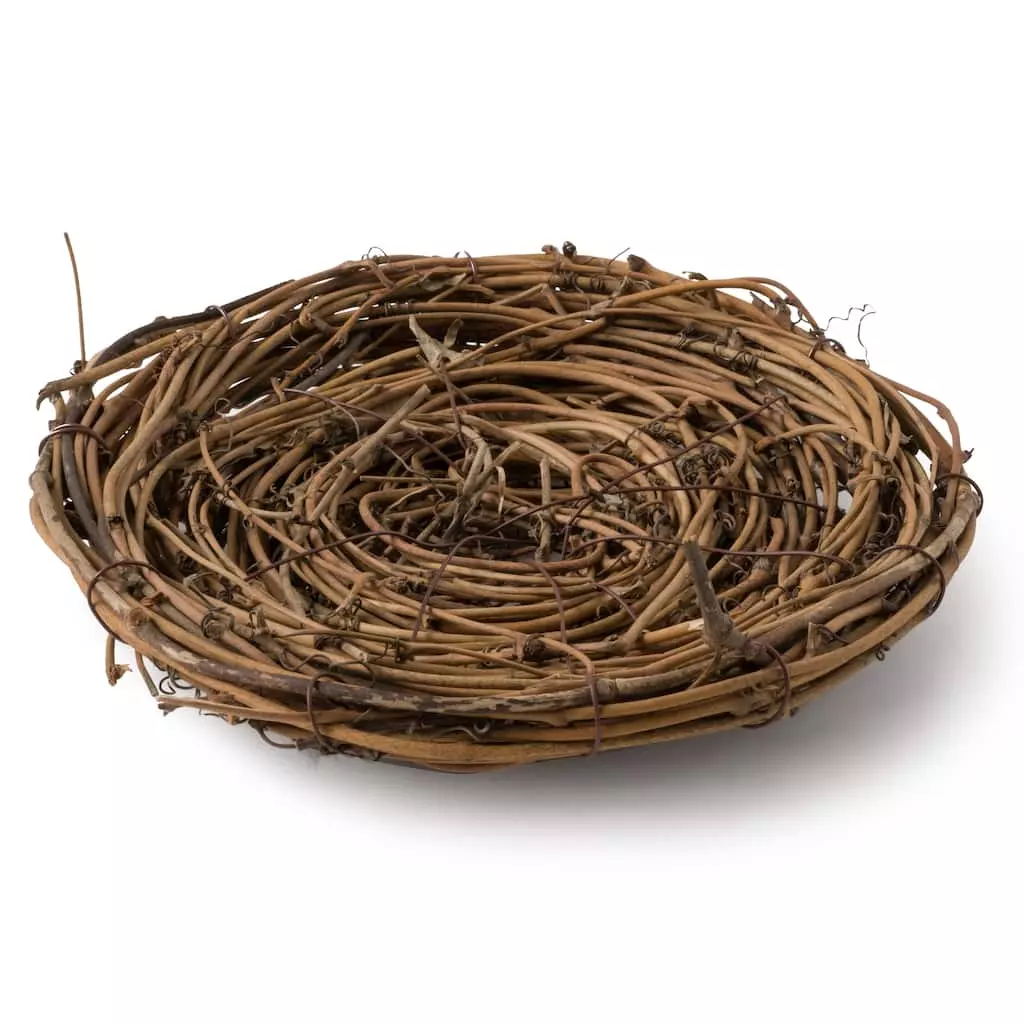 Top 10 โ 8" Bird Nest by Ashland® ๐ 5 Top 10 โ 8" Bird Nest by Ashland® ๐ - Image 3