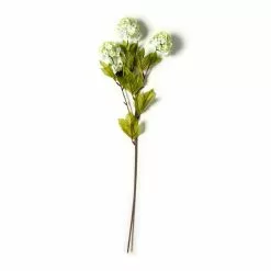 Cheapest 😀 Snowball Spray Floral Essentials by Ashland® 😀