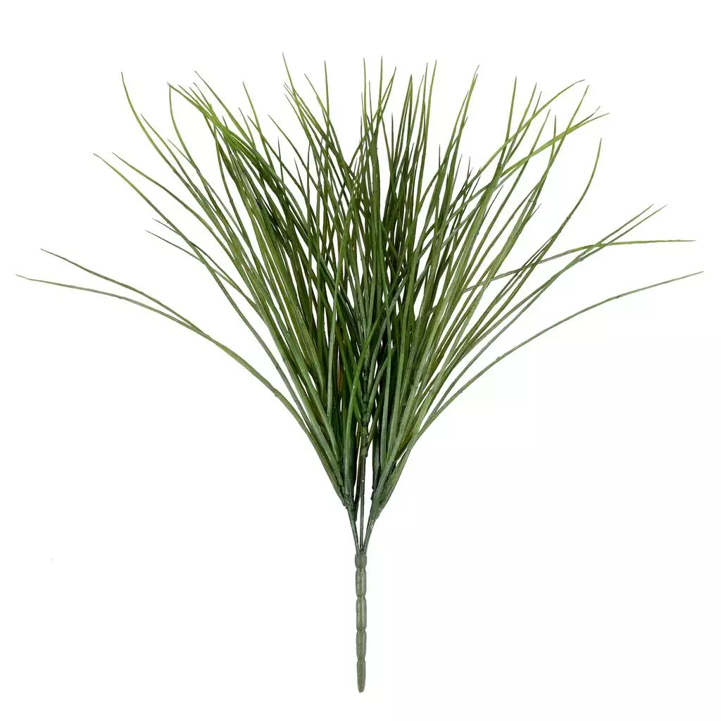 Buy ❤️ 8 Pack: Assorted Grass Bush by Ashland® ⭐ 4 Buy ❤️ 8 Pack: Assorted Grass Bush by Ashland® ⭐ - Image 2