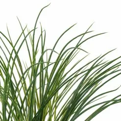 Best Sale ❤️ Assorted Grass Bush by Ashland® ⭐ -Ashland Online Store 10189538 20