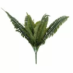 Wholesale 🥰 Boston Fern Bush Fern Collection by Ashland® ✔️