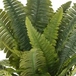 Wholesale 🥰 Boston Fern Bush Fern Collection by Ashland® ✔️ -Ashland Online Store 10194885 2