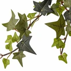 Top 10 ❤️ Star Ivy Bush by Ashland® 🔔 -Ashland Online Store 10194917 20
