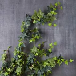 Top 10 ❤️ Star Ivy Bush by Ashland® 🔔 -Ashland Online Store 10194917 22