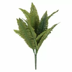 Promo ✨ Boston Fern Bush Fern Collection by Ashland® 😍