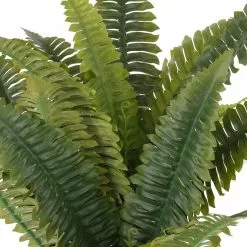 Promo ✨ Boston Fern Bush Fern Collection by Ashland® 😍 -Ashland Online Store 10194924 2
