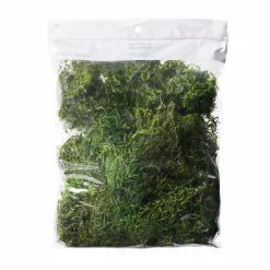 Top 10 ๐ Preserved Forest Moss by Ashland® ๐ฅ