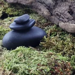 Top 10 🛒 Preserved Forest Moss by Ashland® 🔥 -Ashland Online Store 10204602 3