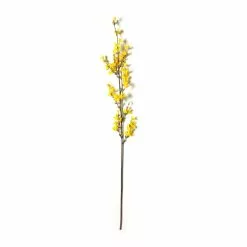 Best Pirce 💯 Forsythia Branch Floral Essentials by Ashland® ⌛