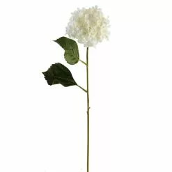 Coupon ✨ Hydrangea Spray by Ashland® ❤️