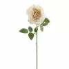 Top 10 😀 12 Pack: White Sophia Rose Stem by Ashland® 👍 -Ashland Online Store 10213470 01 1