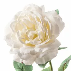 Cheap 👏 White Sophia Rose Stem by Ashland® 🔥 -Ashland Online Store 10213470 20