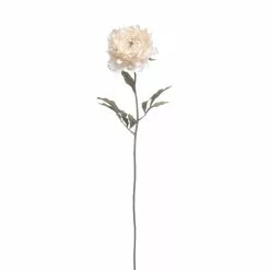Cheap ⭐ 12 Pack: Cream Pearled Peony Stem by Ashland® ✔️