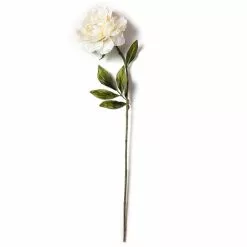 Top 10 ✨ Cream Peony Stem with Pearl by Ashland® ✔️ -Ashland Online Store 10213485 21