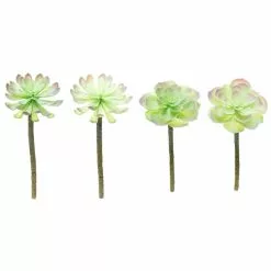 Budget ⌛ 12 Pack: Assorted Red Tipped Succulent Pick by Ashland® ⌛