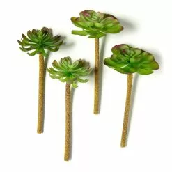 Best deal 🌟 Assorted Red Tipped Succulent Pick by Ashland® 💯