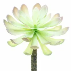 Budget ⌛ 12 Pack: Assorted Red Tipped Succulent Pick by Ashland® ⌛ -Ashland Online Store 10229986 3