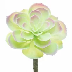 Budget ⌛ 12 Pack: Assorted Red Tipped Succulent Pick by Ashland® ⌛ -Ashland Online Store 10229986 5