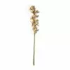 Hot Sale โ Tropical Cymbidium Stem by Ashland® ๐ฅฐ 1 Hot Sale โ Tropical Cymbidium Stem by Ashland® ๐ฅฐ -Ashland Online Store 10230910 21