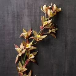 Hot Sale ⌛ Tropical Cymbidium Stem by Ashland® 🥰 -Ashland Online Store 10230910 22